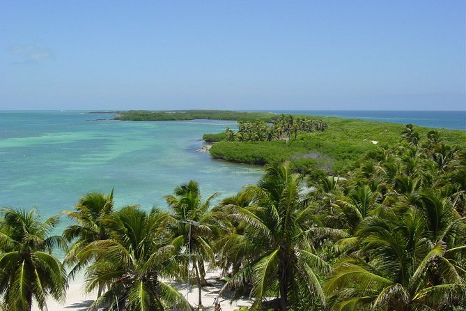 Isla Contoy Incredible Tour! Round Transportation From Cancun & Playa Del Carmen - Guides, atmosphere, and group size