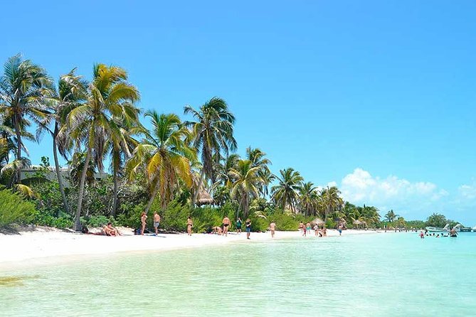 Isla Contoy Incredible Tour! Round Transportation From Cancun & Playa Del Carmen - Pickup delays and the ten-hour schedule