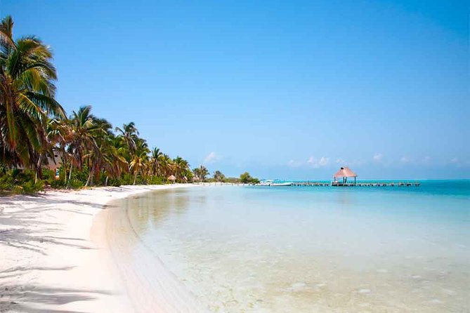 Isla Contoy Incredible Tour! Round Transportation From Cancun & Playa Del Carmen - Who will enjoy this excursion most