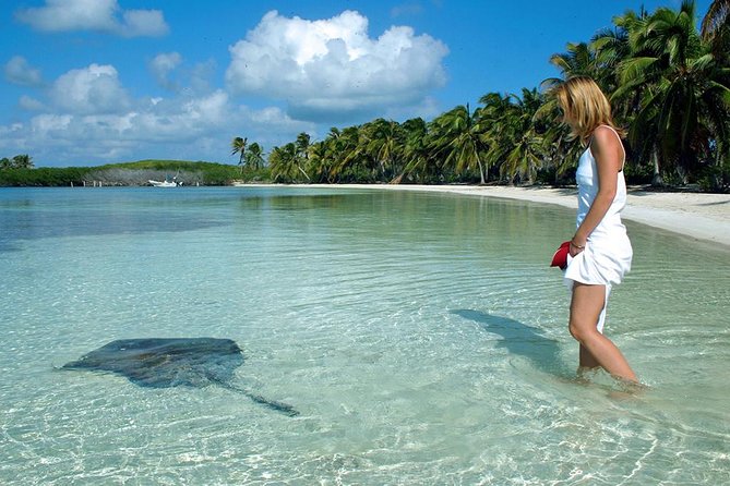 Isla Contoy & Isla Mujeres Tour from Cancun & Playa Del Carmen - The morning start from Cancun and Playa del Carmen