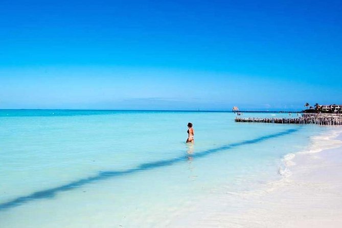 Isla Contoy & Isla Mujeres Tour from Cancun & Playa Del Carmen - Who should book this island day?
