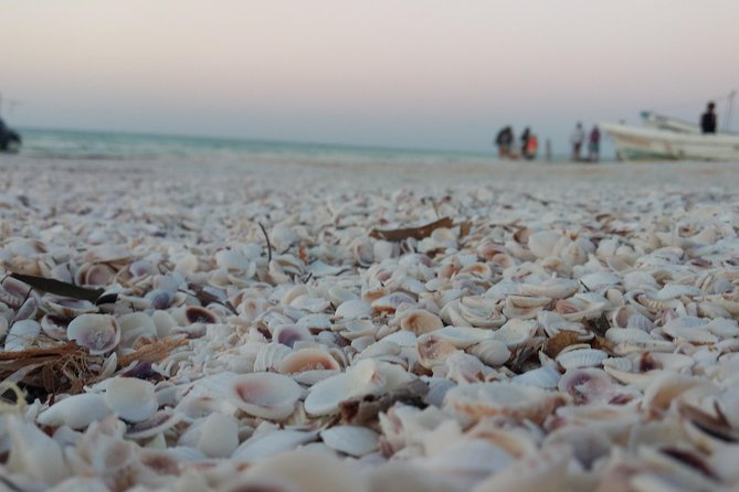 Isla Holbox All Inclusive with Transportation (Breakfast and Food Included) - The Real Cost of the $138.50 Price