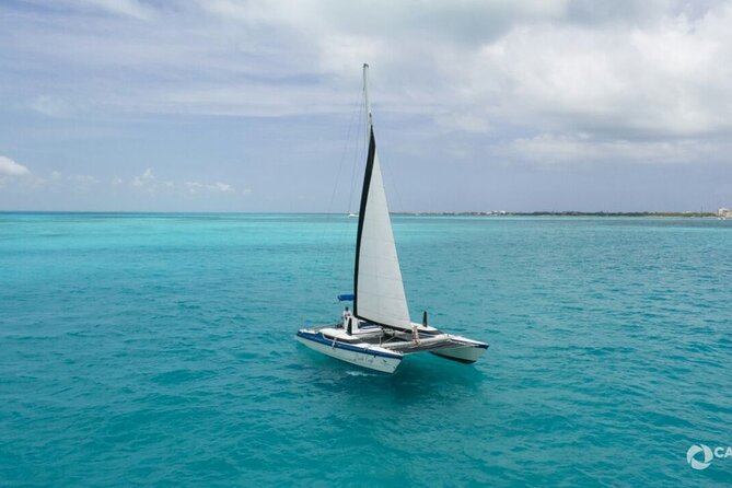 Isla Mujeres Basic Catamaran Tour with Snorkeling and Open Bar - What this Isla Mujeres catamaran day is really like