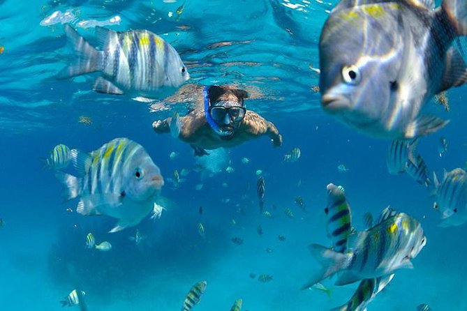 Isla Mujeres Catamaran Adventure All Inclusive from Cancun - Sailing across the Caribbean