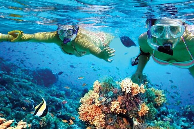 Isla Mujeres Catamaran, Open Bar & Optional Buffet and pick up - What the $39 price really covers