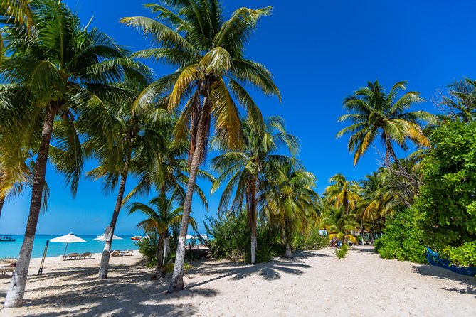 Isla Mujeres Catamaran, Open Bar & Optional Buffet and pick up - Practical advice before you book