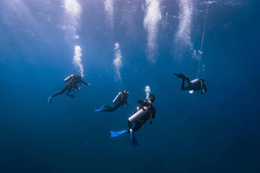 Isla Mujeres: Catamaran Ride with Open Bar, Snorkeling, and Lunch - Leaving Cancun by catamaran