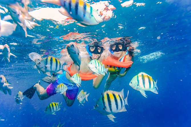 Isla Mujeres Catamaran Tour with Open Bar, Lunch and Snorkeling - Snorkeling near Isla Mujeres