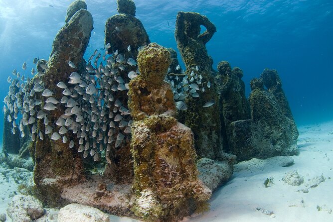 Isla Mujeres Catamaran Tour with Snorkeling at MUSA, Buffet Lunch & Open Bar - Four hours around Isla Mujeres