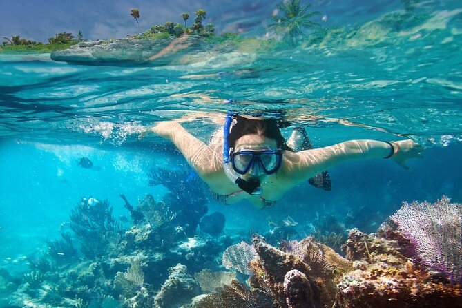 Isla Mujeres Catamaran Tour with Snorkeling, Open Bar & Buffet - The small-group advantage and the guide question