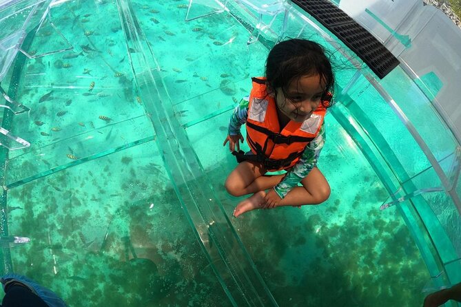 Isla Mujeres: Coral Reef Views from a Clear Boat - Photos, music, and the human touch