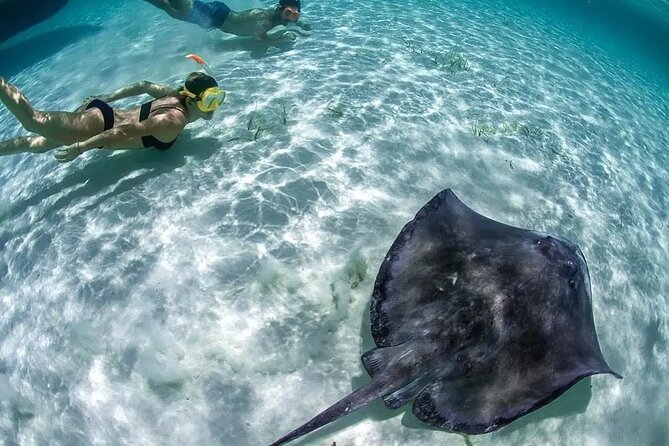 Isla Mujeres: Coral Reef Views from a Clear Boat - El Farito, the first reef stop