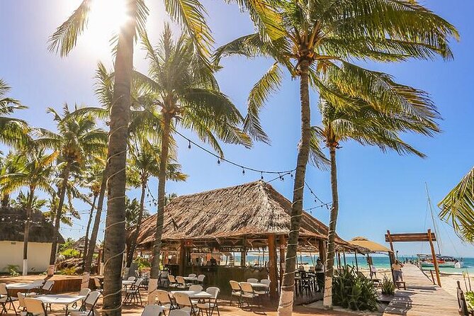 Isla Mujeres Cruise with Beach Club, Snorkel, Lunch and Open Bar - Snorkeling at Arrecife El Meco