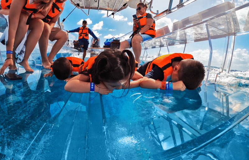 Isla Mujeres: Excursion Crystal Boat Tour at the Caribbean - Who Will Enjoy the Transparent Boat Most