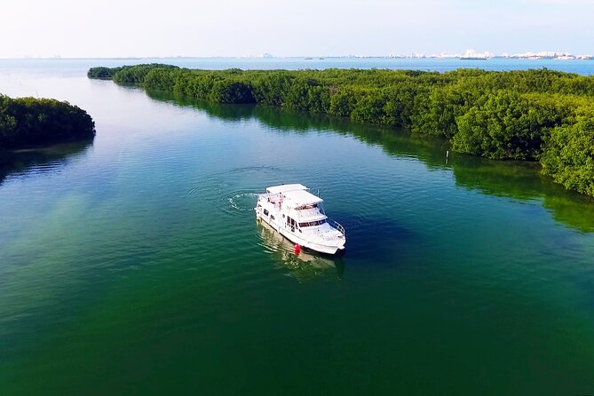 Isla Mujeres Full Day Tour on Yacht with Snorkel and Buffet - The ride home turns into a party