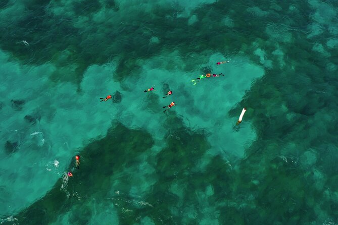 Isla Mujeres Island and Snorkeling Tour - The ride back to Cancun