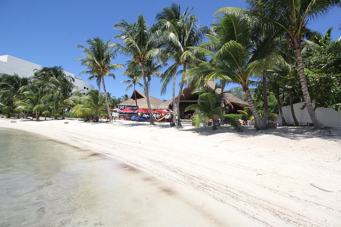 Isla Mujeres luxury catamaran with premium open bar and lunch - Should you book it?
