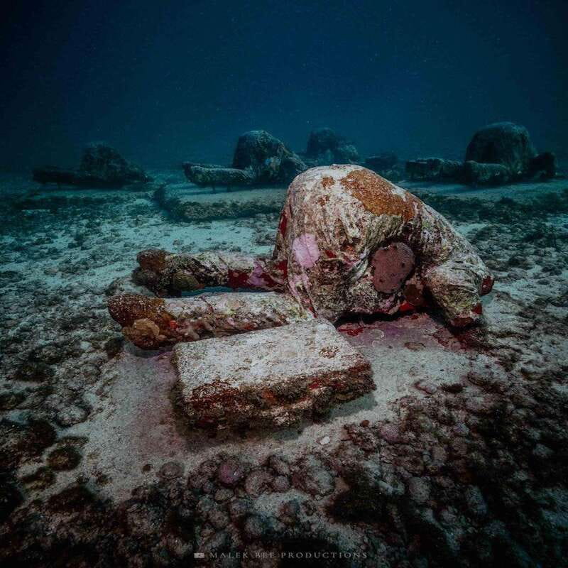 Isla Mujeres: MUSA and the Manchones Reef: 2 Tank Dive Tour - Manchones Reef shifts the focus to marine life