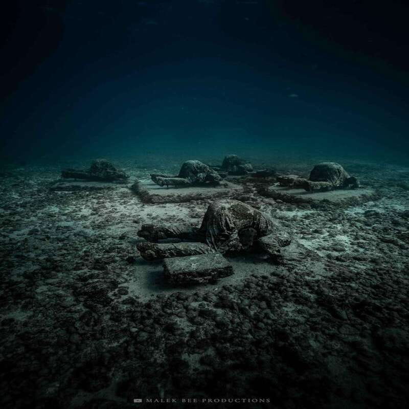 Isla Mujeres: MUSA and the Manchones Reef: 2 Tank Dive Tour - The best sights are possible, not promised