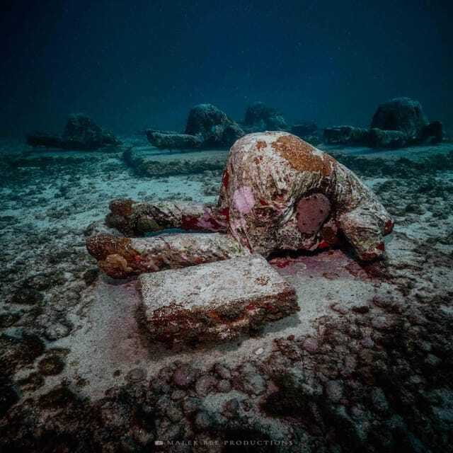 Isla Mujeres: MUSA and the Manchones Reef: 2 Tank Dive Tour - Practical limits you should take seriously