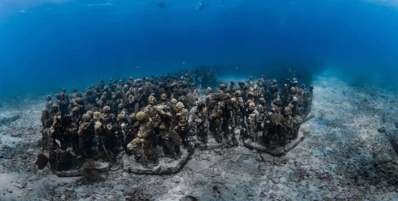 Isla Mujeres: MUSA and the Manchones Reef: 2 Tank Dive Tour - What the strongest praise points to
