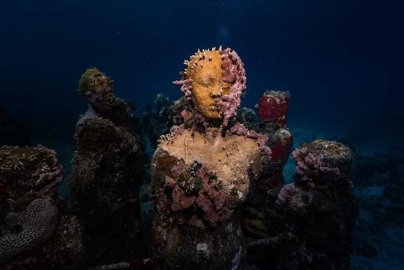 Isla Mujeres: MUSA and the Manchones Reef: 2 Tank Dive Tour - Who will get the most from this outing
