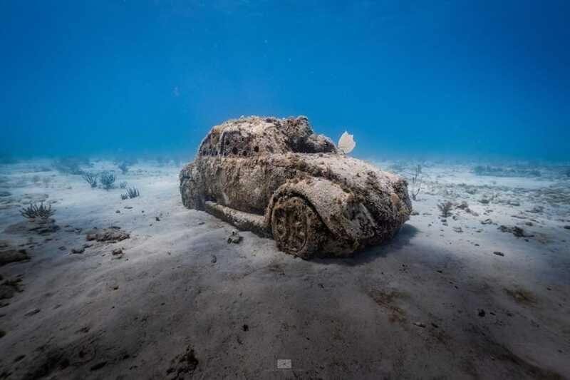 Isla Mujeres - MUSA and the Manchones Reef - Snorkel - Who should book this Isla Mujeres snorkel?