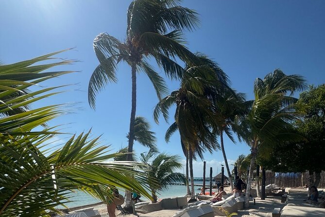 Isla Mujeres Plus Tour with Snorkeling Buffet and Open Bar - Key points to know before booking