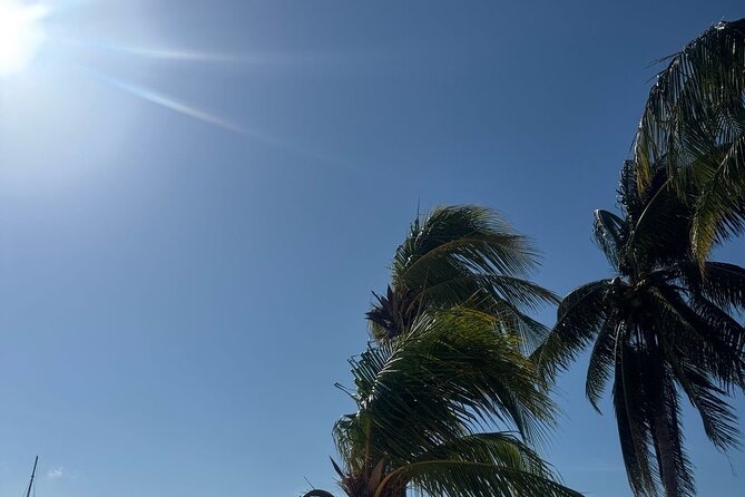 Isla Mujeres Plus Tour with Snorkeling Buffet and Open Bar - What to bring for the seven-hour schedule