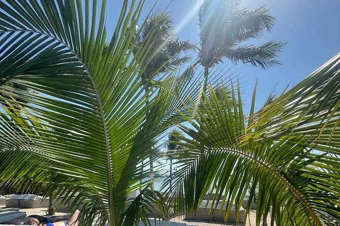 Isla Mujeres Plus Tour with Snorkeling Buffet and Open Bar - Who will enjoy this Isla Mujeres tour most