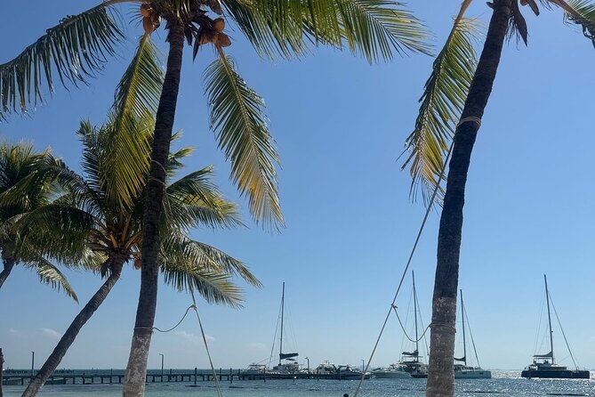Isla Mujeres Plus Tour with Snorkeling Buffet and Open Bar - Getting to the Playa Tortugas departure point
