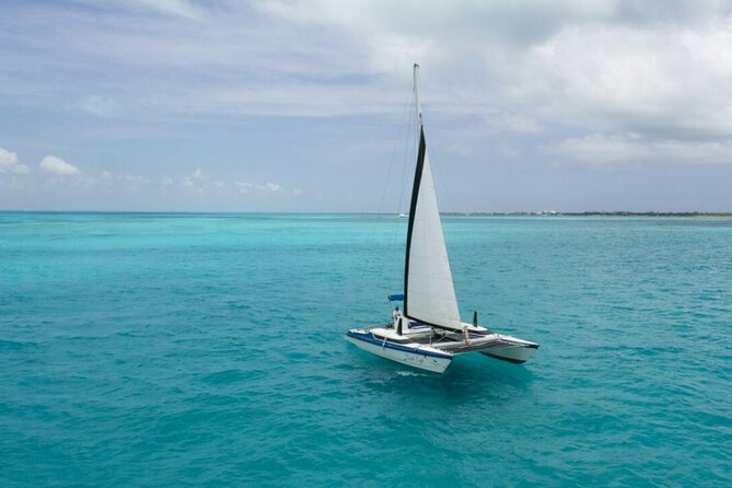 Isla Mujeres Premium Tour in Catamaran with Snorkel and Buffet - Meco Reef and the underwater sculptures