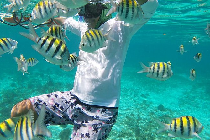 Isla Mujeres Snorkeling Adventure at the Underwater Museum - The real value of the $52 price