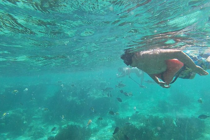 Isla Mujeres: Snorkeling Adventure at the Underwater Museum - Meeting the boat at Señor Frog’s