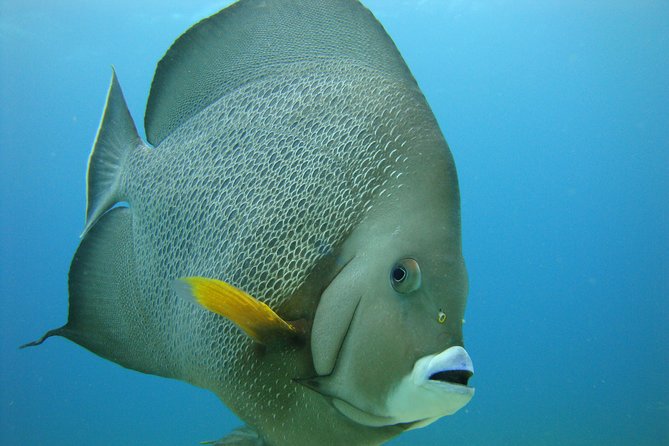 Isla Mujeres Snorkeling Tour - Is the tour good value?