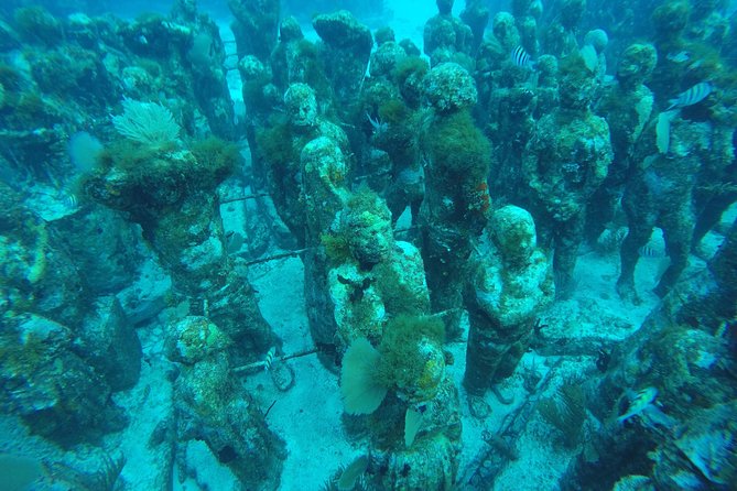 Isla Mujeres Snorkeling Tour Adventure - Guides make the biggest difference