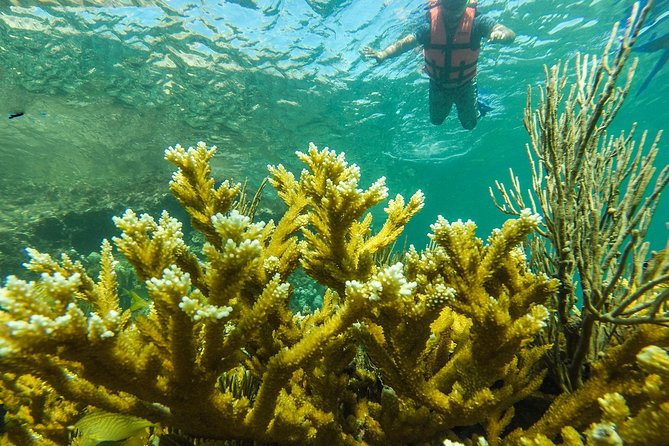 Isla Mujeres Snorkeling Tour Adventure - Organization is the main risk