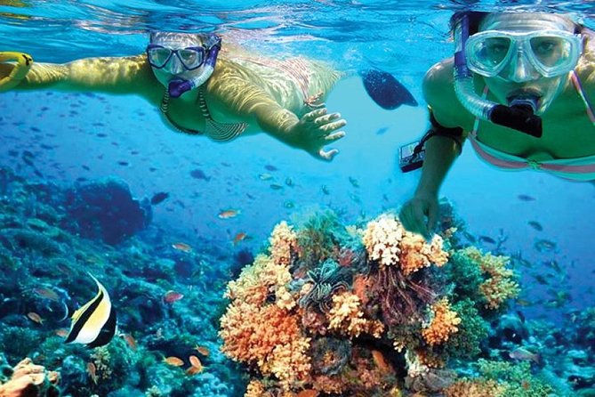 Isla Mujeres tour in a Catamaran with snorkel, open bar, lunch - Lunch at the private beach club