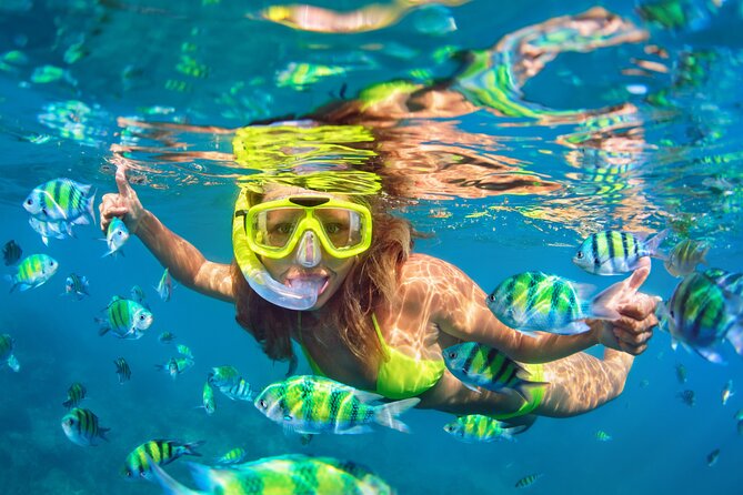 Island Adventure - Guides and the human side of the tour