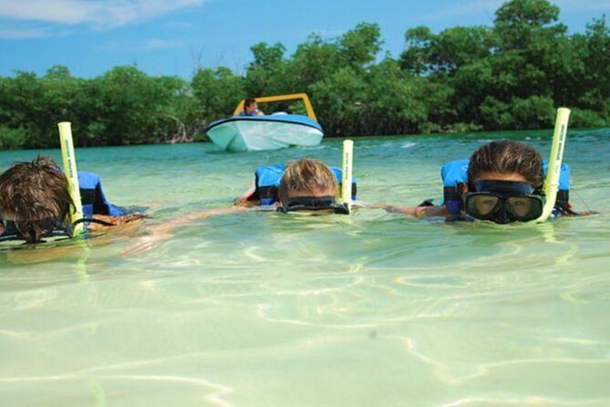 Jungle Tour Adventure in Cancun with Snorkeling - How this compares with a standard Cancun excursion