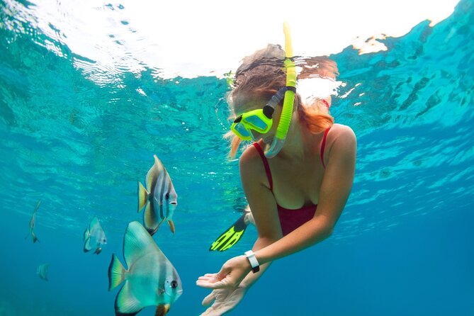 Jungle Tour Puerto Maya in Cancun - Punta Nizuc snorkeling: coral, fish, and submerged statues