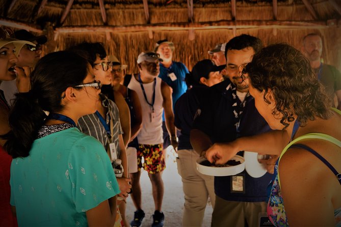 Kaan Luum & Cenotes Mayan Traditions - Who will enjoy this tour most?