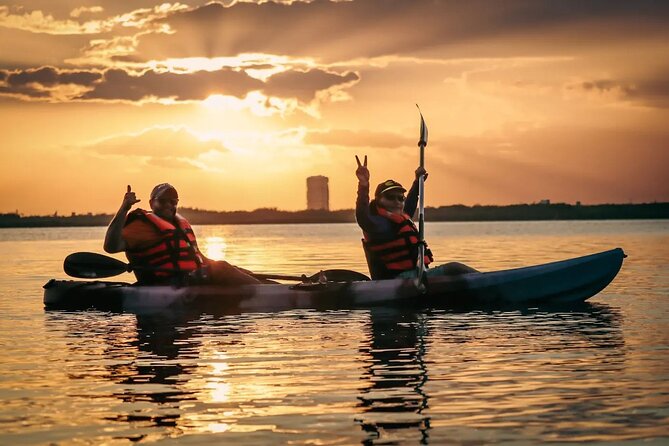 Kayak Adventure in Cancun - Why Cancun’s mangroves are worth your morning