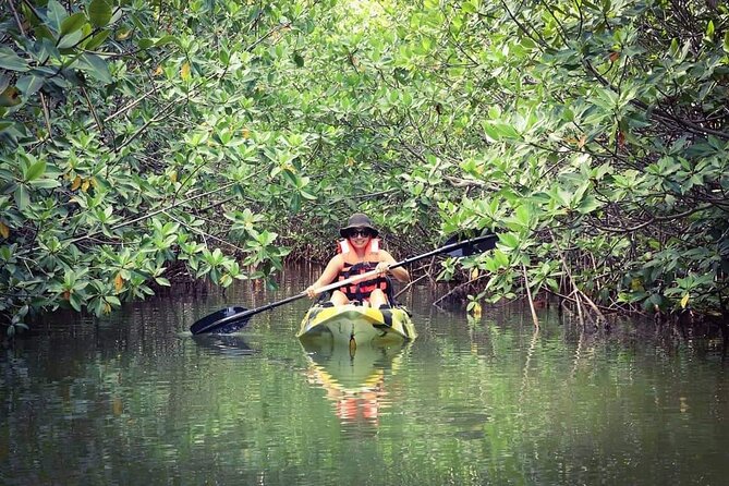 Kayak Adventure in Cancun - A possible sunrise start at 6 AM