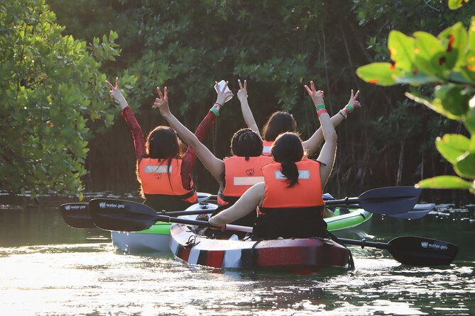Kayak Adventure in Cancun - What you get for $47.73