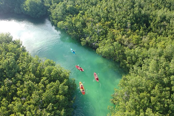 Kayak adventure through Laguna Nichupté in Cancun - Getting comfortable in the sit-on-top kayaks