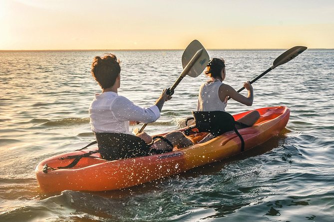 Kayak adventure through Laguna Nichupté in Cancun - What the $52.46 price covers