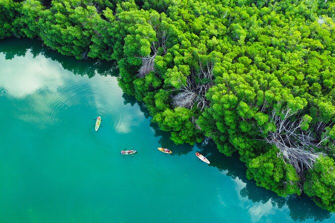 Kayak Tour at Sunset in Cancun - Birds, fish, and a closer look at the lagoon
