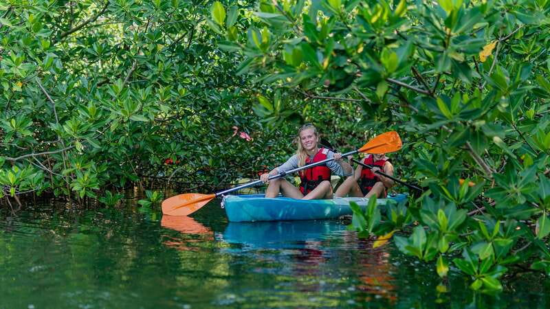 Kayak Tour in Cancun with Photos included - Key points to know before you paddle