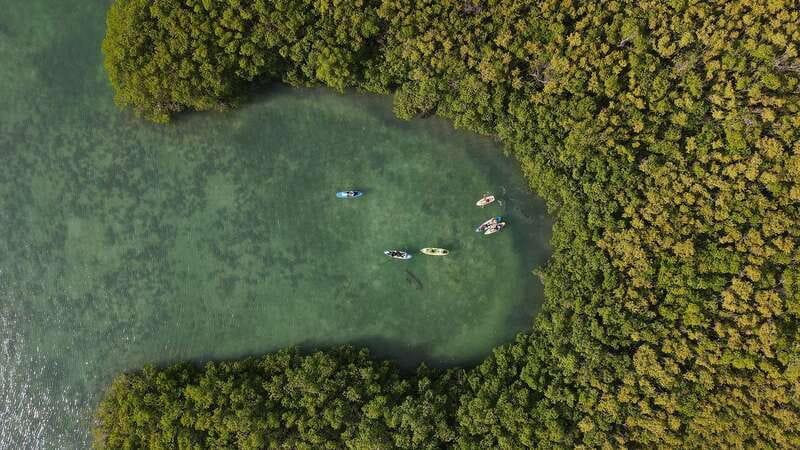 Kayak Tour in Cancun with Photos included - The 15-minute safety briefing